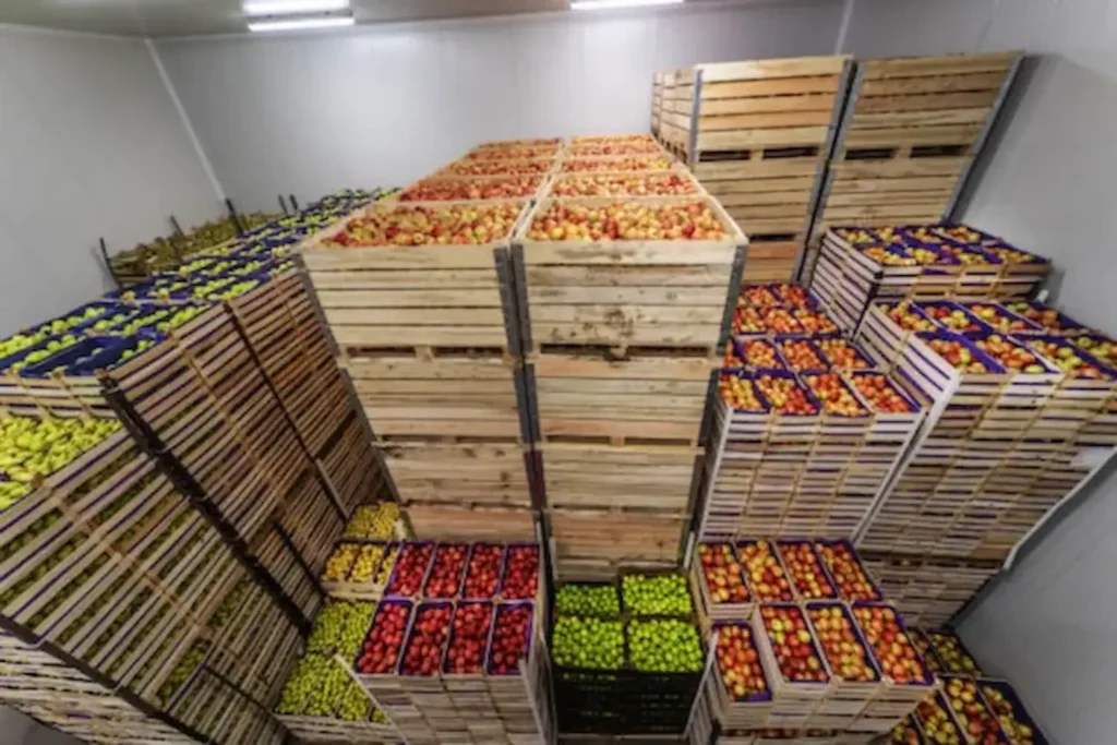 transporte de frutas